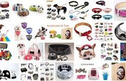 Pet Accessories